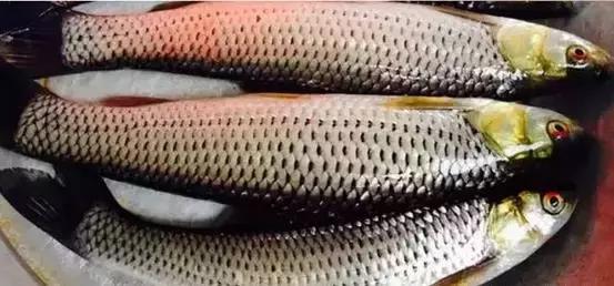 海南，梦想启航之地——自信铸就辉煌，变化中学习成长之路