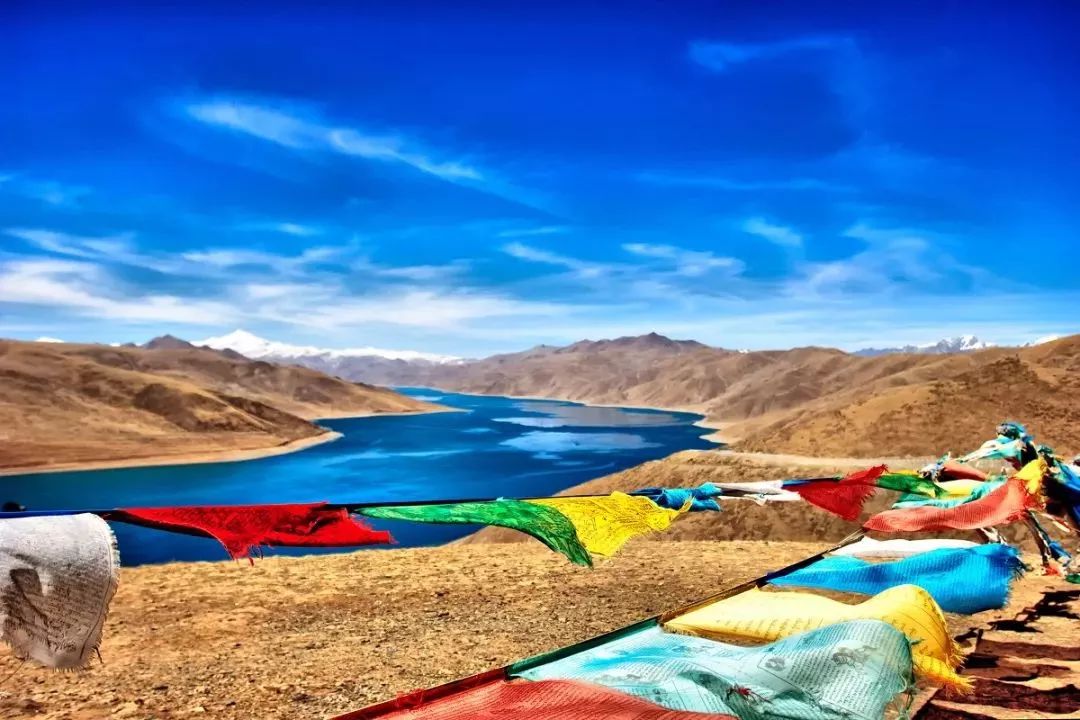 西藏深度探险与学习之旅，详细步骤指南攻略