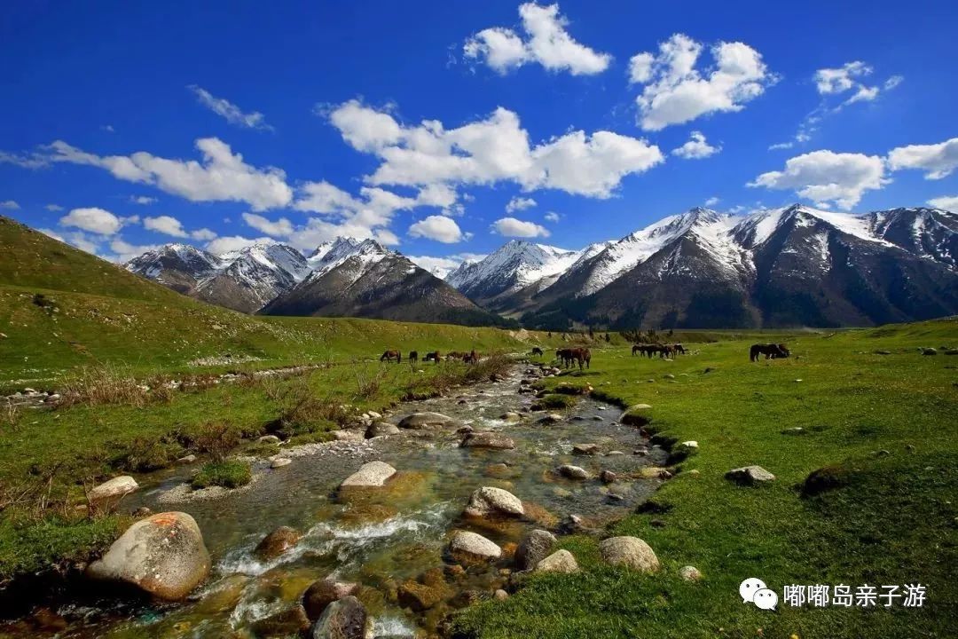 新疆科技新纪元，前沿探索与智能生活盛宴